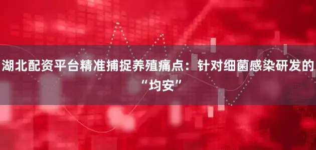湖北配资平台精准捕捉养殖痛点：针对细菌感染研发的 “均安”